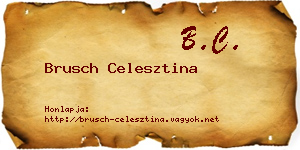 Brusch Celesztina névjegykártya